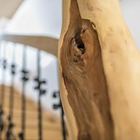 Mit Großem Garten Apartment