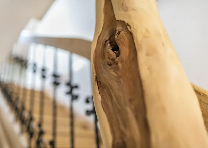 Mit Großem Garten Apartment